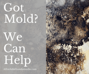 A sign that says, got mold? we can help