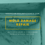 A picture of a mold damage repair article