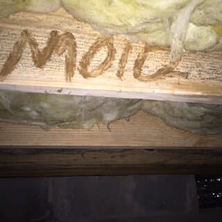 Crawlspace Mold Removal in Alabama Crawlspace Mold