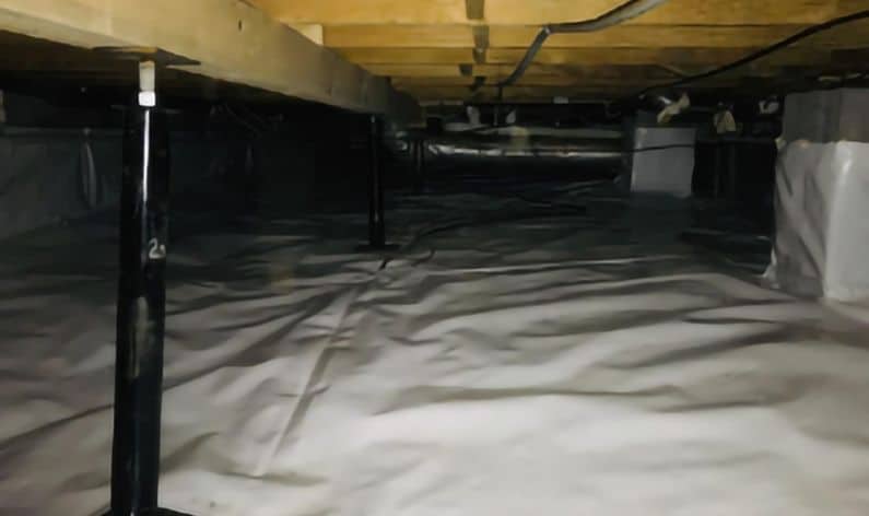 5 Problems To Fix in Your Crawl Space Right Away