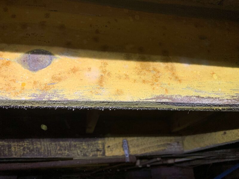 close up of yellow-colored mold covering a wooden beam in a crawlspace