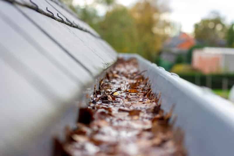 clogged gutters on an Alabama home