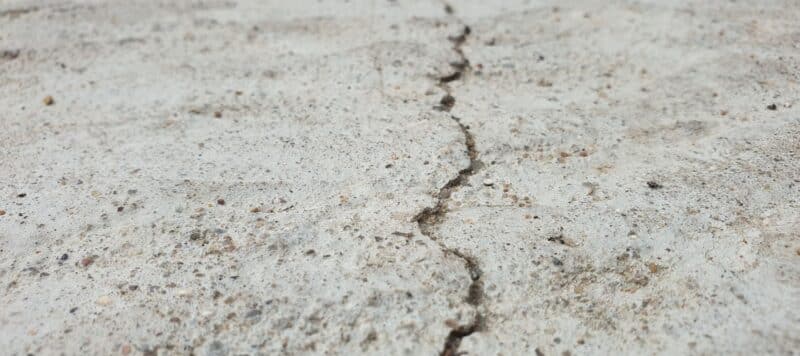 crack forming in concrete due to root growth