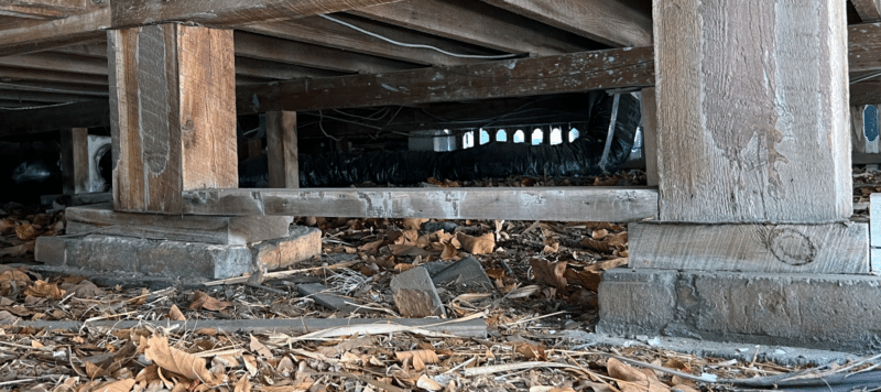 wide shoe of a crawl space filled with leaves and branches